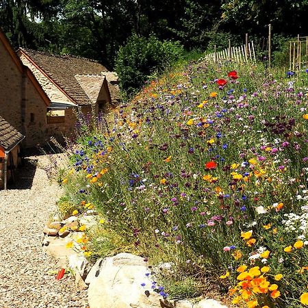 Saint-Germain-du-TeilDomaine Des Marequiers Chambre Alchemille住宿加早餐旅馆 外观 照片