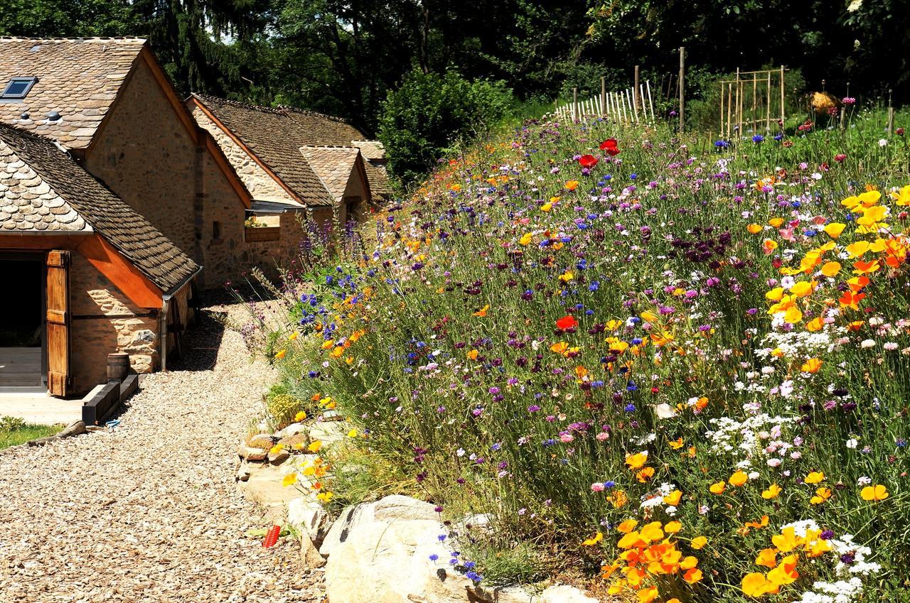 Saint-Germain-du-TeilDomaine Des Marequiers Chambre Alchemille住宿加早餐旅馆 外观 照片