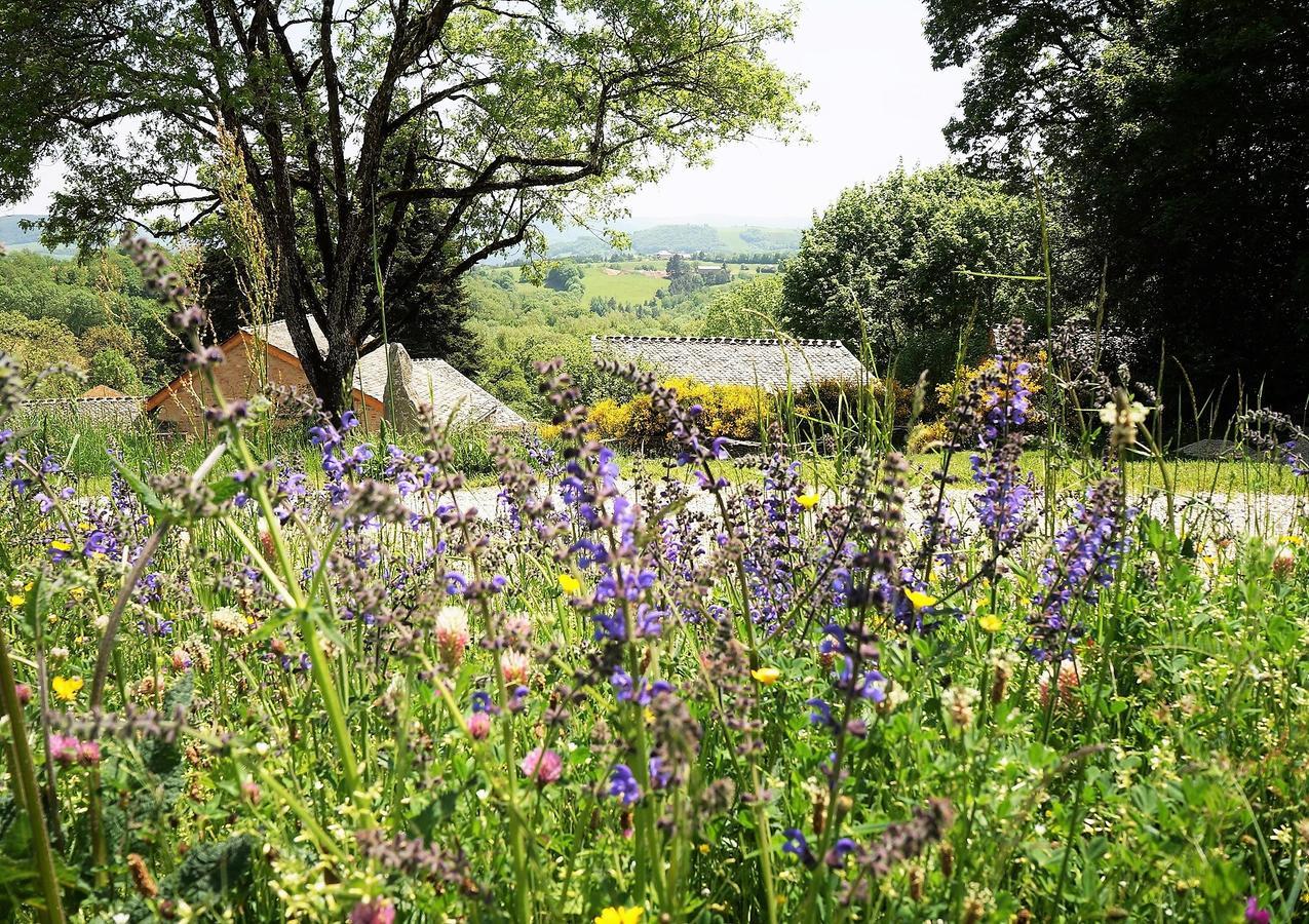 Saint-Germain-du-TeilDomaine Des Marequiers Chambre Alchemille住宿加早餐旅馆 外观 照片