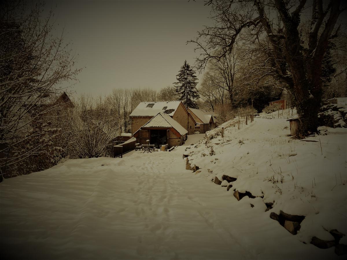 Saint-Germain-du-TeilDomaine Des Marequiers Chambre Alchemille住宿加早餐旅馆 外观 照片